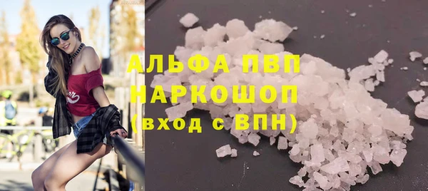 ECSTASY Инсар