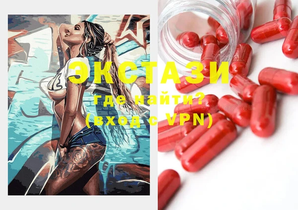 ECSTASY Инсар