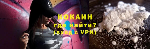 твердый Инта