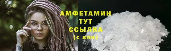 твердый Инта