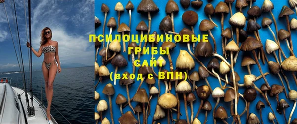 твердый Инта