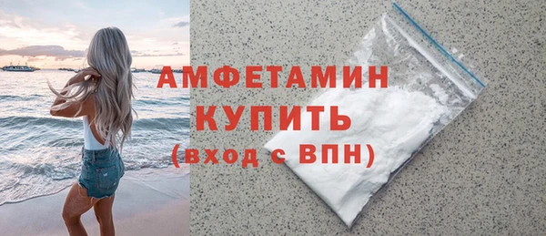 твердый Инта