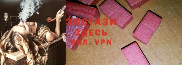 ECSTASY Инсар