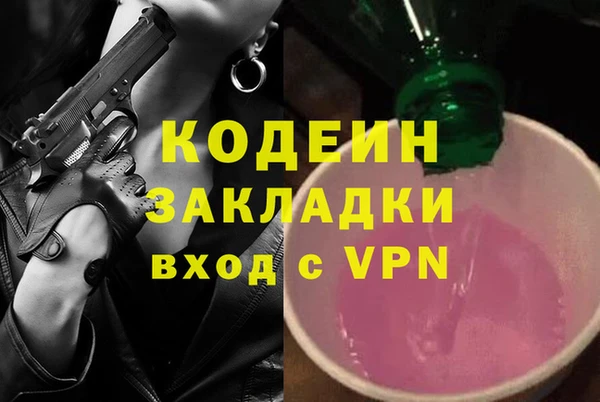 твердый Инта