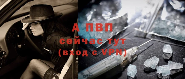 твердый Инта