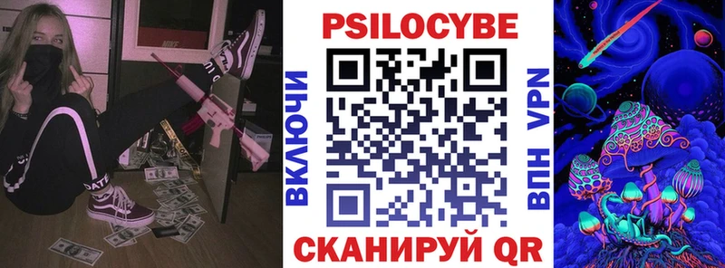 Галлюциногенные грибы Psilocybe  Купить где  Тутаев 
